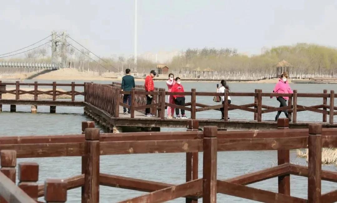 天津市五一新开放的公园,天津地区春暖花开的时间