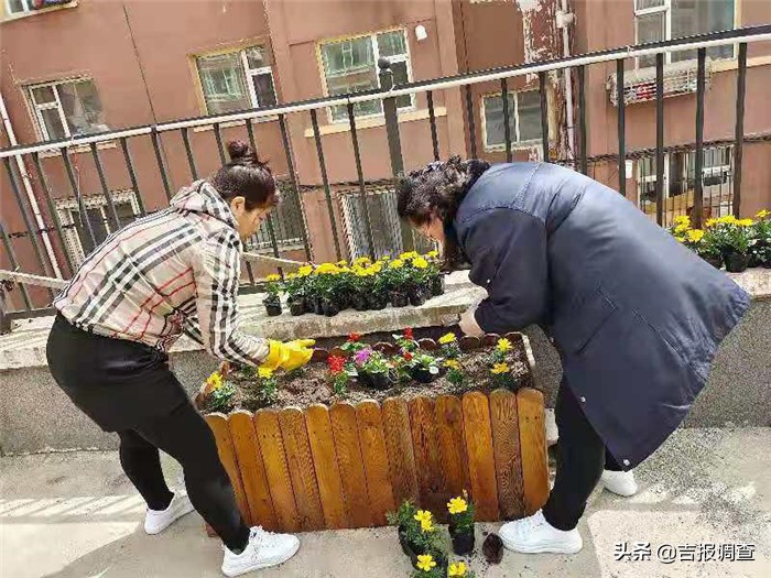 退休不褪色老党员绽放新力量,退休党员在社区发挥余热