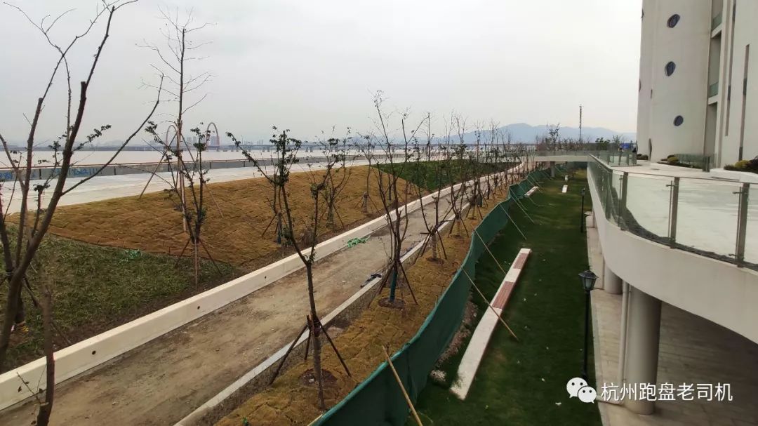 滨江浦沿新楼盘潜力,滨江浦沿地铁口房子