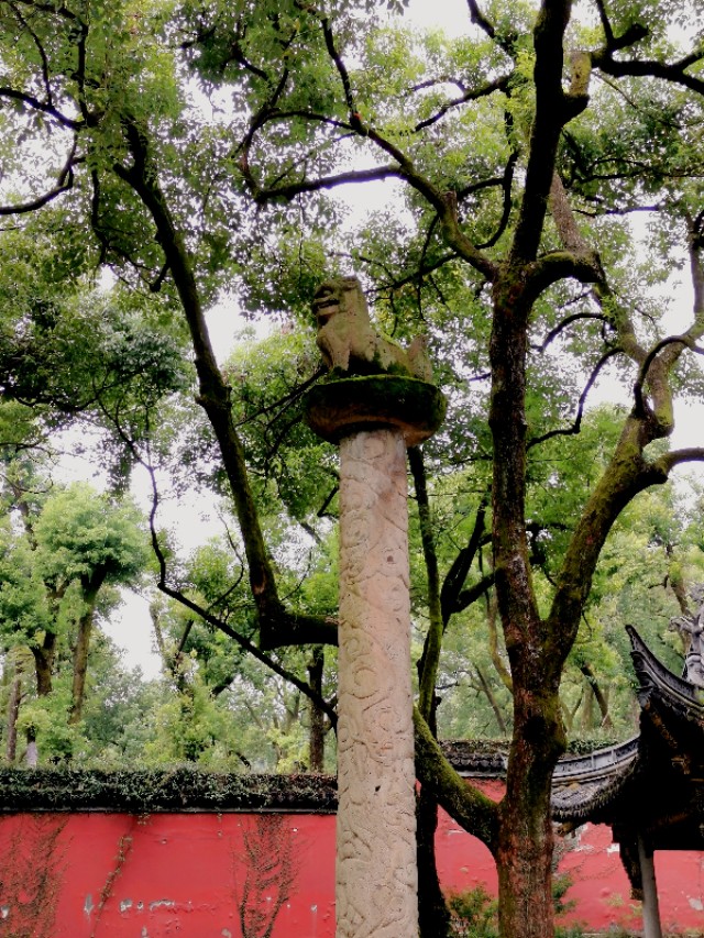 绍兴越王山的历史传说,绍兴古越龙山风景区