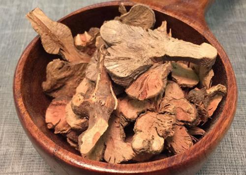 金荞麦是中药还是西药,中药金荞麦功效与作用