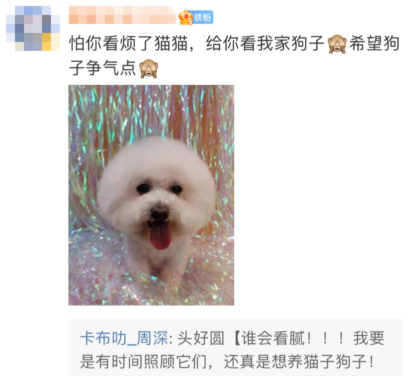 当年凭一首歌爆红的男星,最被低估的一个男歌手