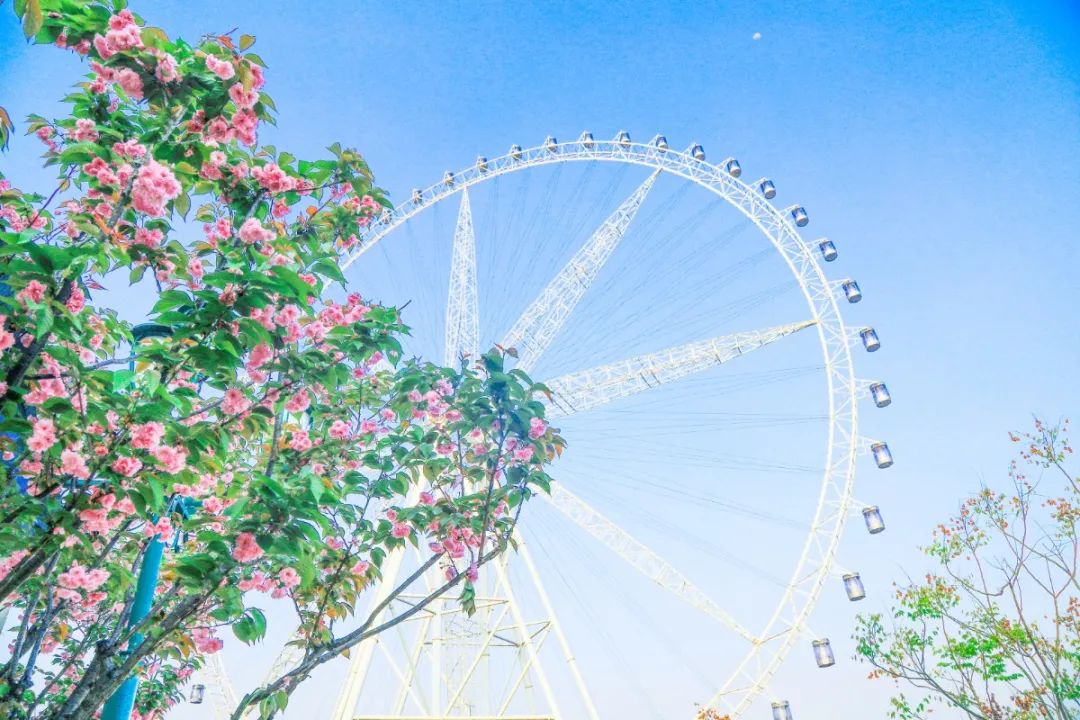 重庆北碚清明节踏青好去处,重庆巴南踏青一日游最佳攻略