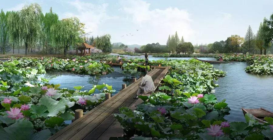 杭州西湖足球场,杭州富阳免费足球场