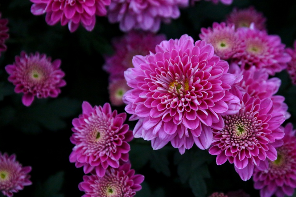 十二星座不理你的表现是什么,十二星座不爱你的表现双子