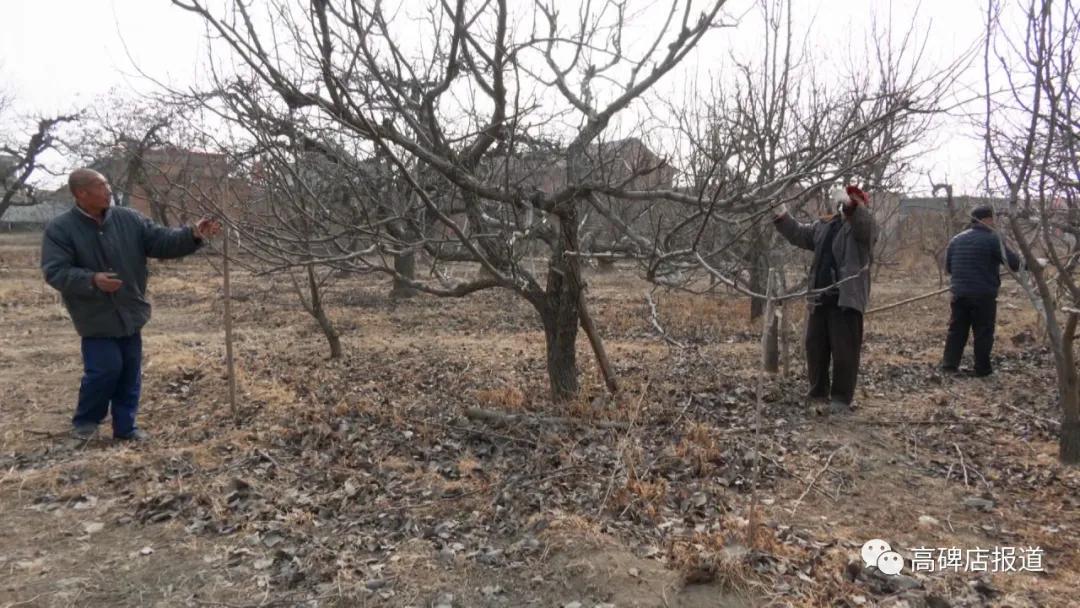 新春走基层年味儿,新春走基层打工人