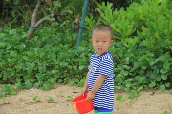 海边美食推荐旅游攻略,海边旅游美食风景攻略