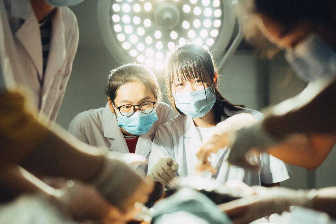 医学学硕和专硕真的差别很多吗,医学专业学硕考博和专硕考博难易