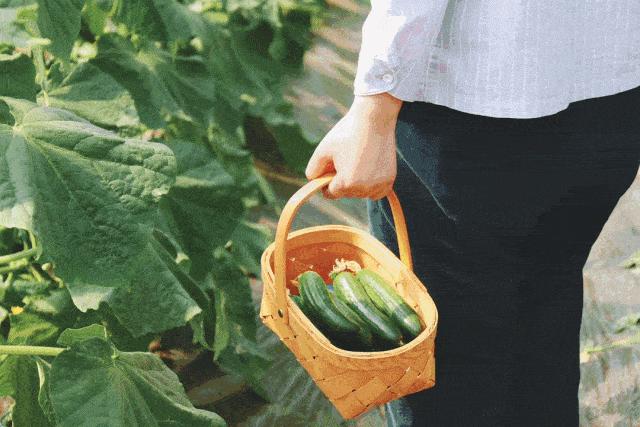 惠州横沥温泉民宿酒店,惠州横沥矮陂私人温泉民宿