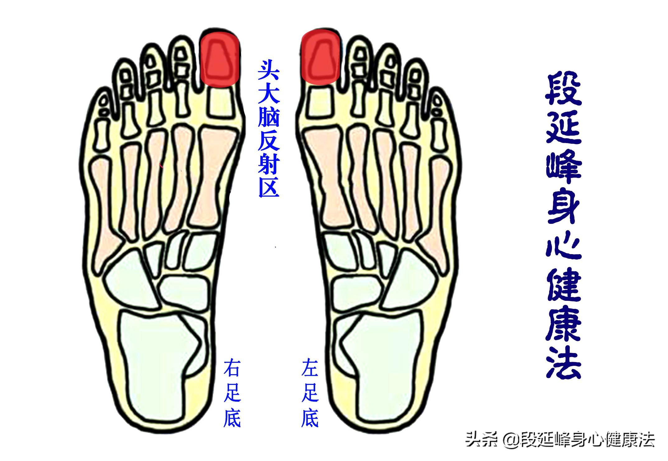 心中有术三个小妙招解决便秘,便秘费力怎么办