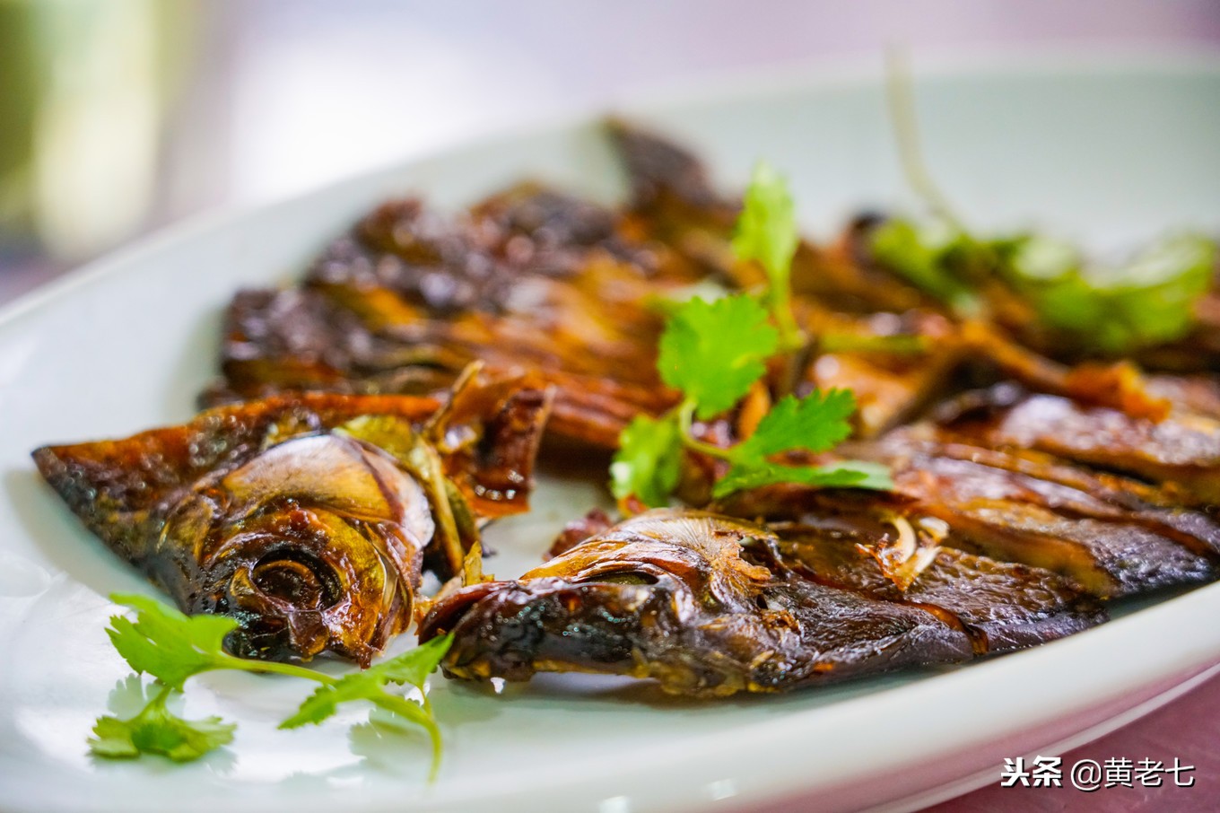 带你走进沙家浜景区,现在沙家浜景区