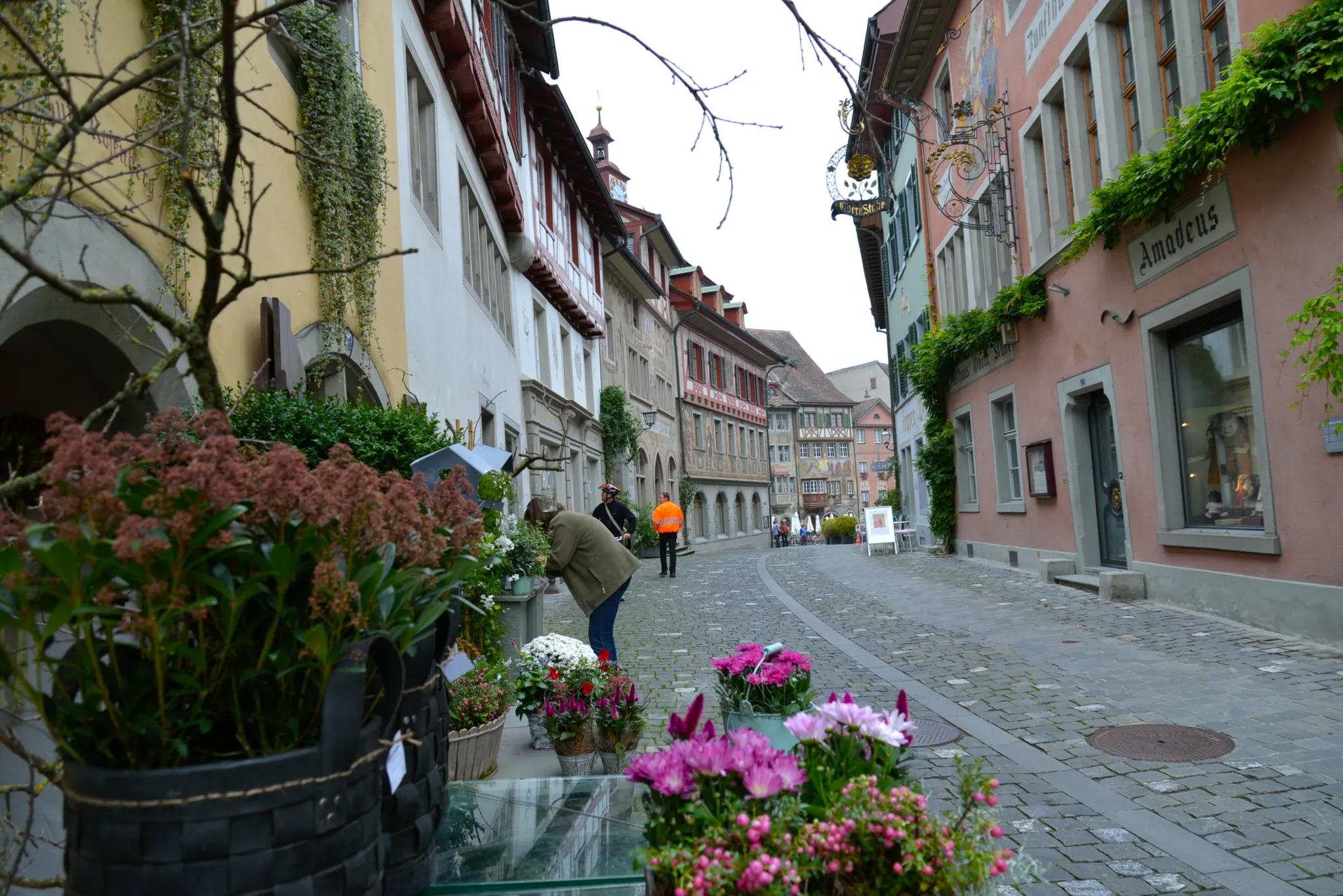 怎样忘掉生活中的烦恼,怎么摆脱生活中的烦恼