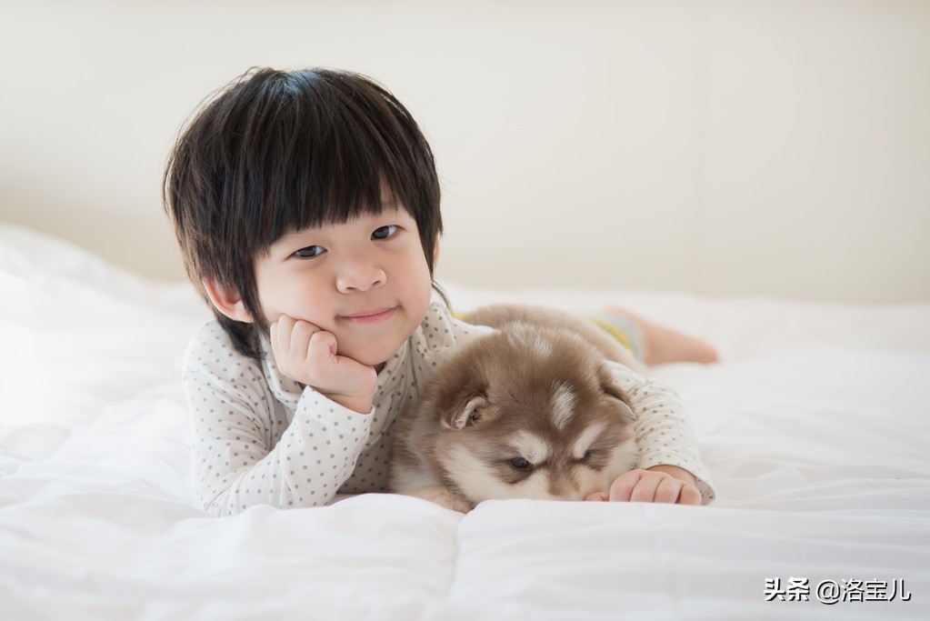 狗狗偶尔吐不吃不喝怎么办,狗狗一切正常就是一直叫