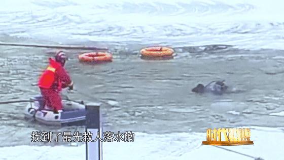 【致敬英雄】太原市体校向时代楷模拉齐尼·巴依卡同志学习的倡议书