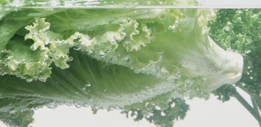 青菜上的虫卵吃了会怎样,一桌食物吃出虫子