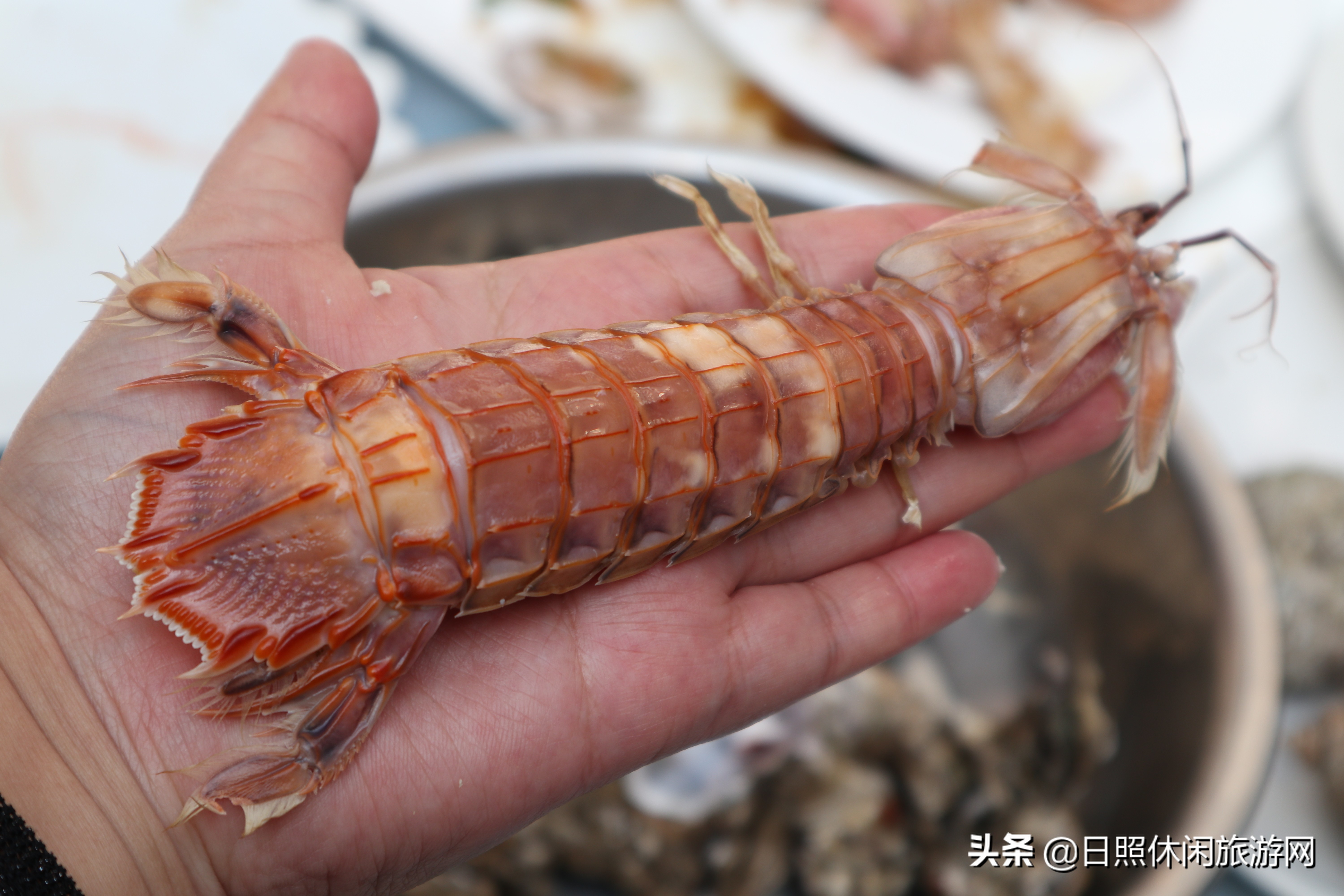 江苏去山东日照旅游攻略,日照到江苏自驾游最佳路线
