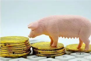 生猪期货操作规则是什么,10问10答帮你搞懂个人养老金