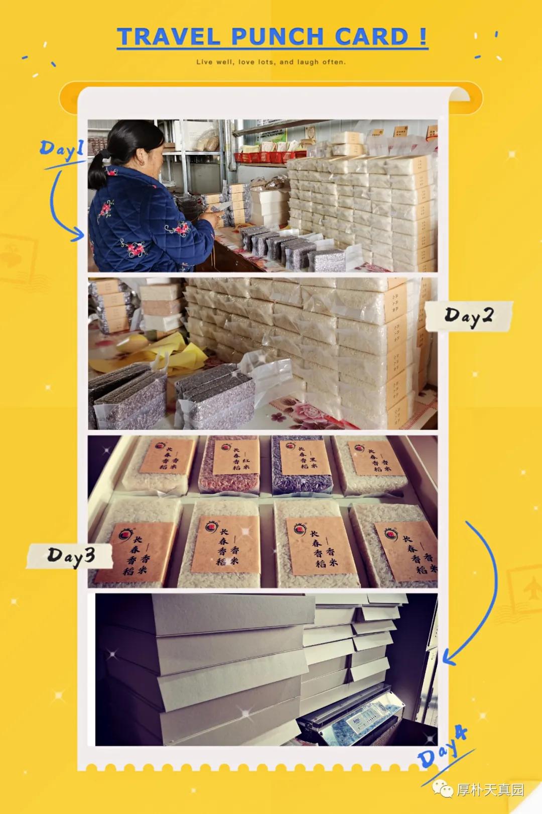 农场日记南瓜,农场栽菜日记