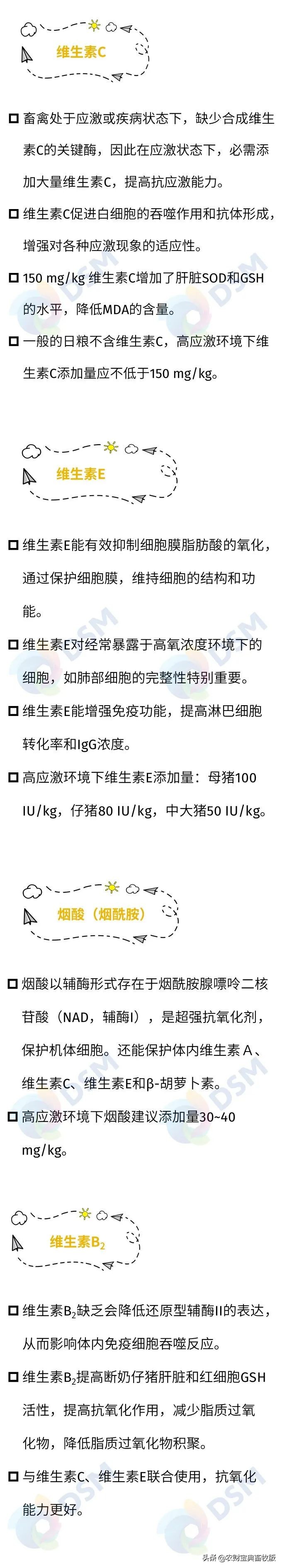 收藏！与非瘟共舞下，猪群的应激源应激大了，怎么办？试试看这四大策略