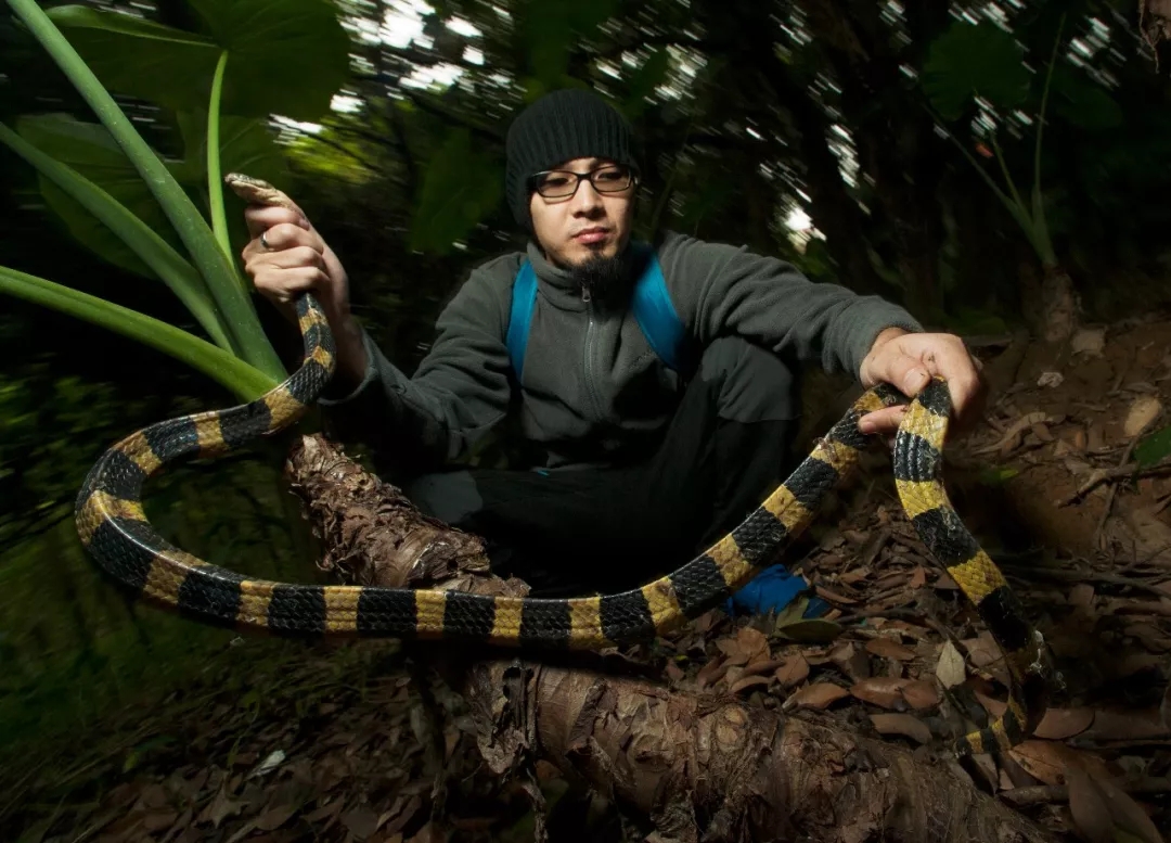 腾讯最新纪录片，记录人与毒宠的相爱相杀，堪称开年第一！