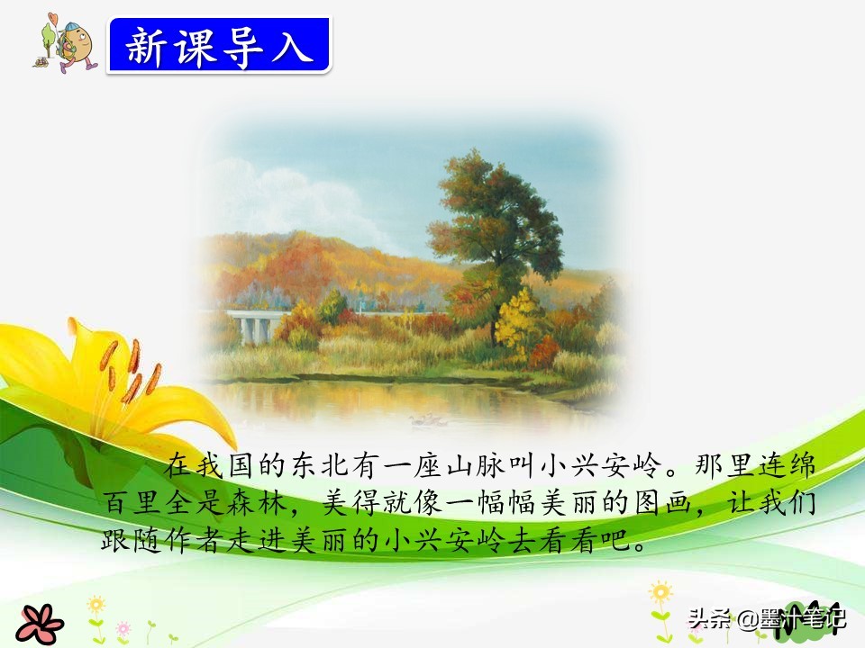 美丽的小兴安岭课文讲解人教版,三上语文美丽的小兴安岭课文讲解