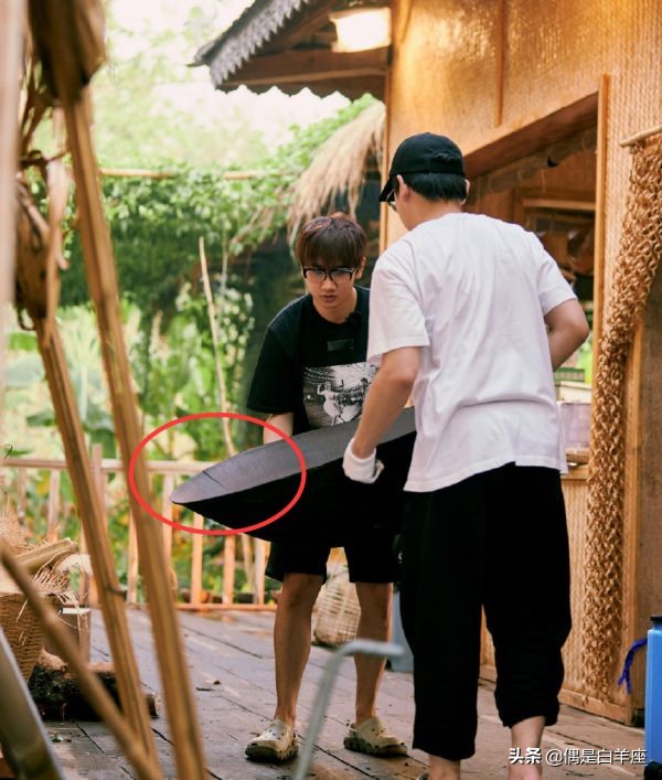 蘑菇屋导演复盘,蘑菇屋导演谈苏醒