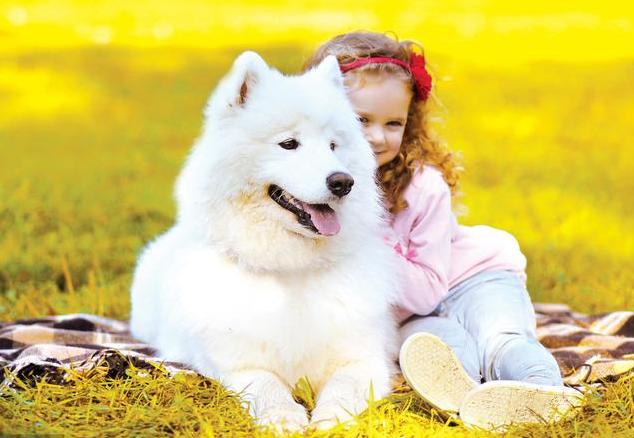 美工做了一年能达到什么水平,零基础学ps美工多久可以学会