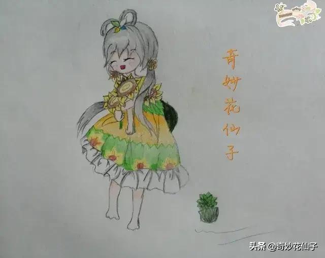 给大家推荐几款皮实好养的月季,好养不生病的月季有哪些品种