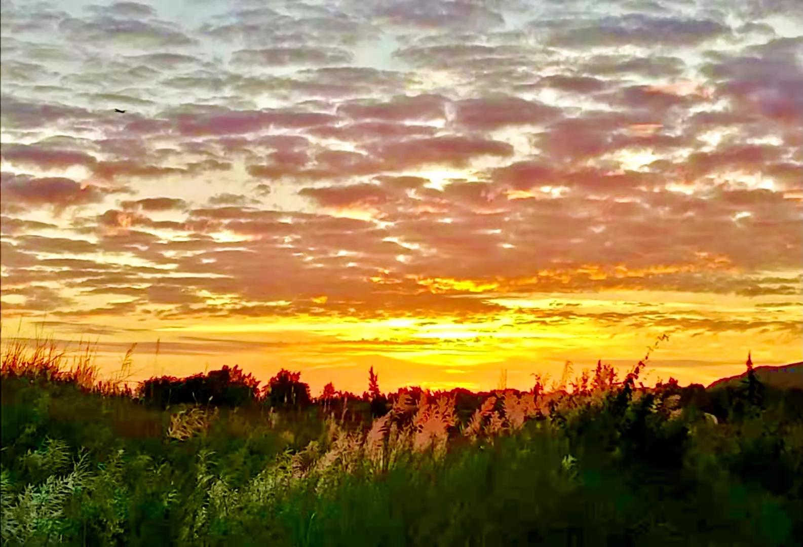 发现大自然的美的作文500字,发现大自然的美一篇作文