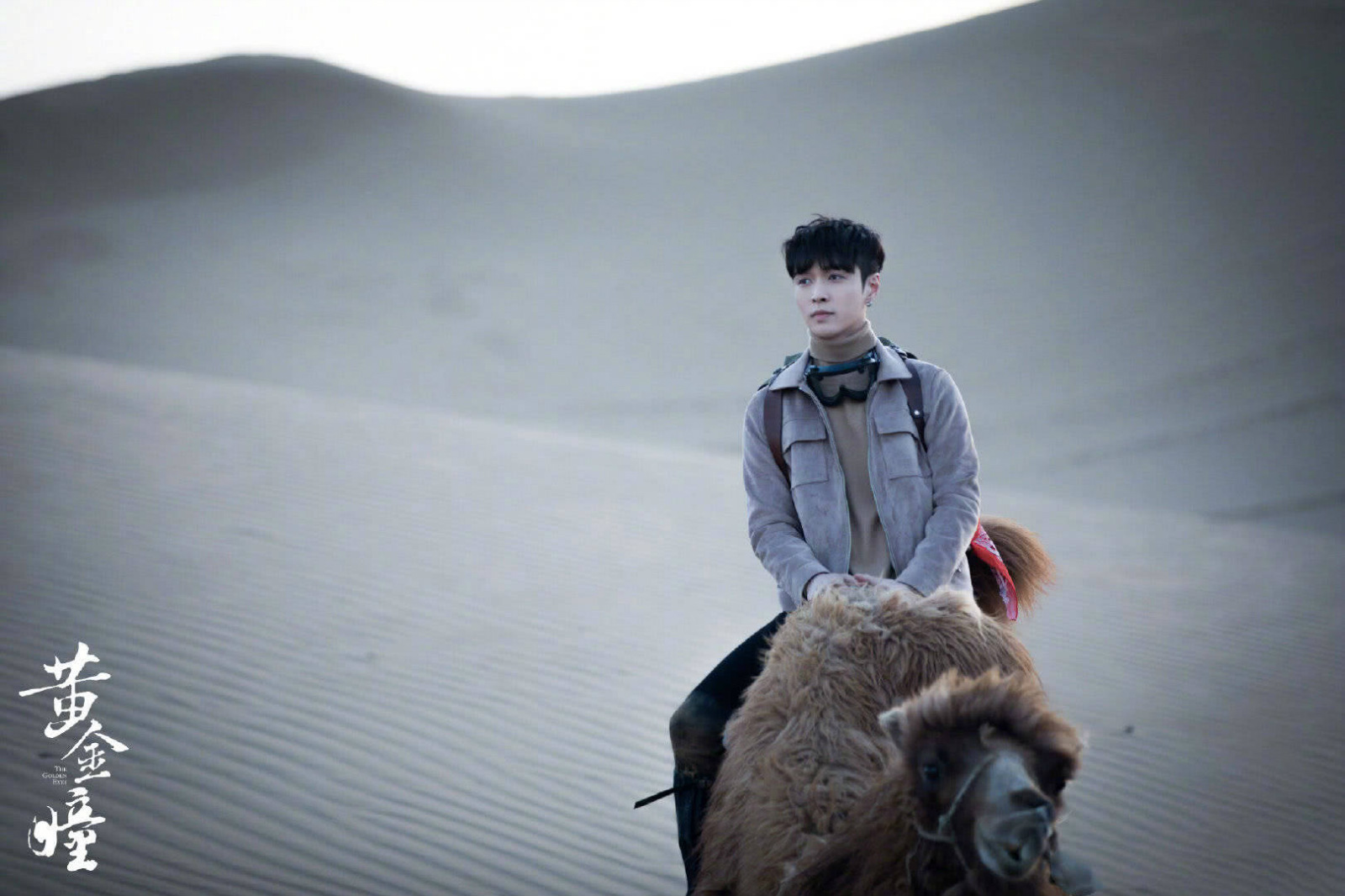 张艺兴黄金瞳推荐,小绵羊张艺兴黄金瞳