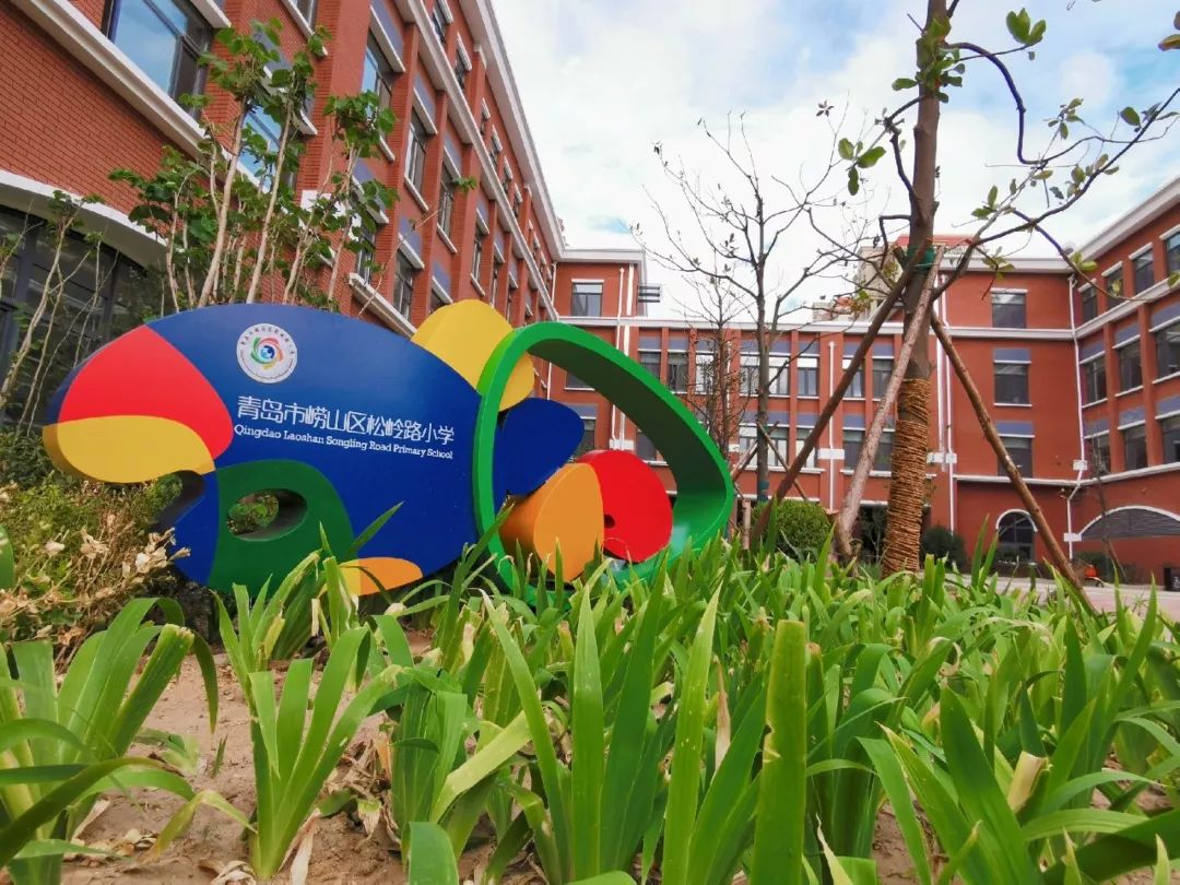 崂山主题教育,教育传递美好生活