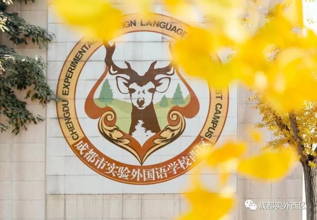 成都私立小学学校招生,2020年成都私立小学招生