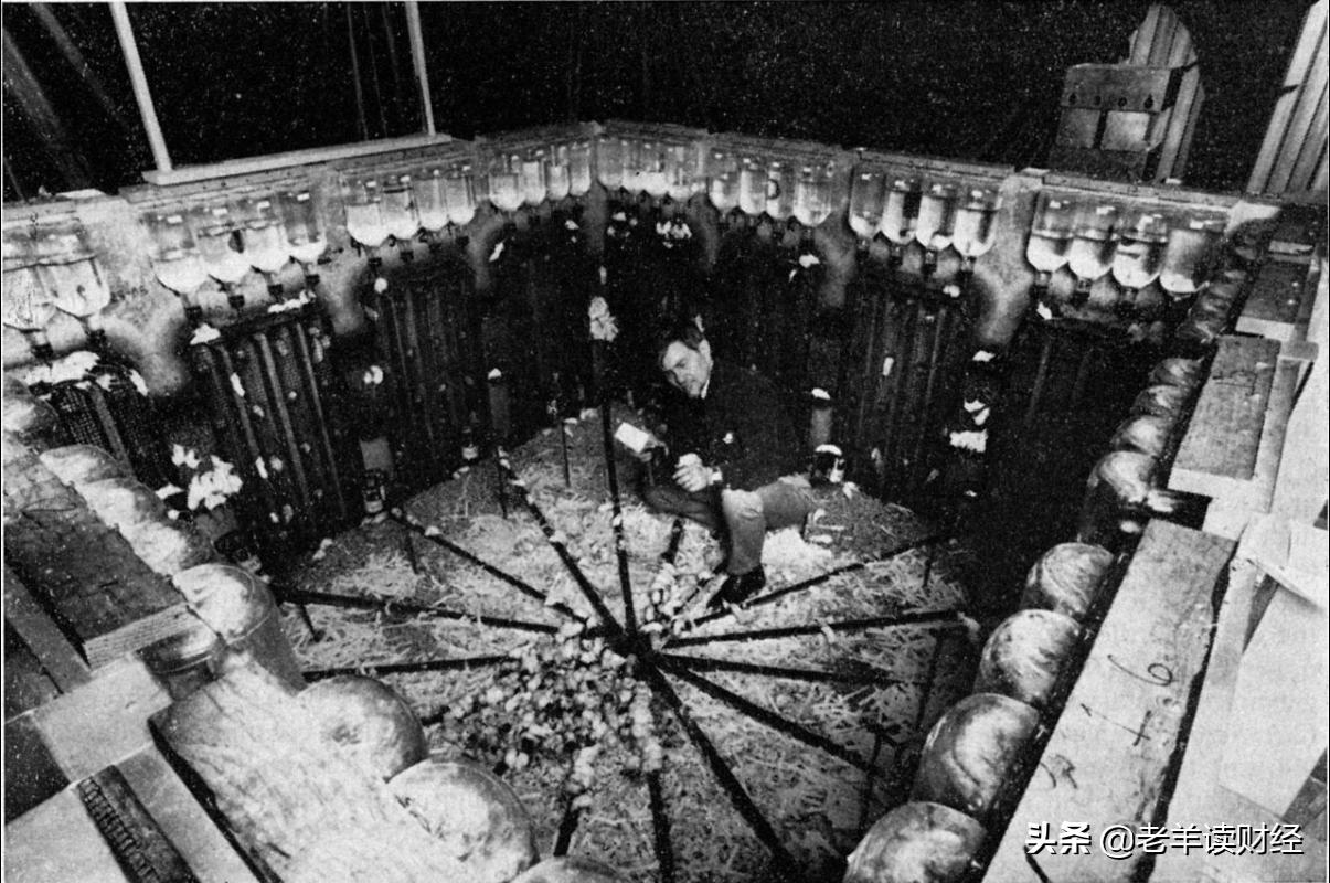 老鼠乌托邦实验什么现象,老鼠乌托邦的十种沉沦的表现