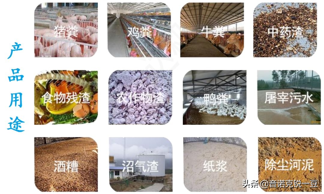 2022年农村养殖什么最赚钱,在广西农村养殖什么最赚钱