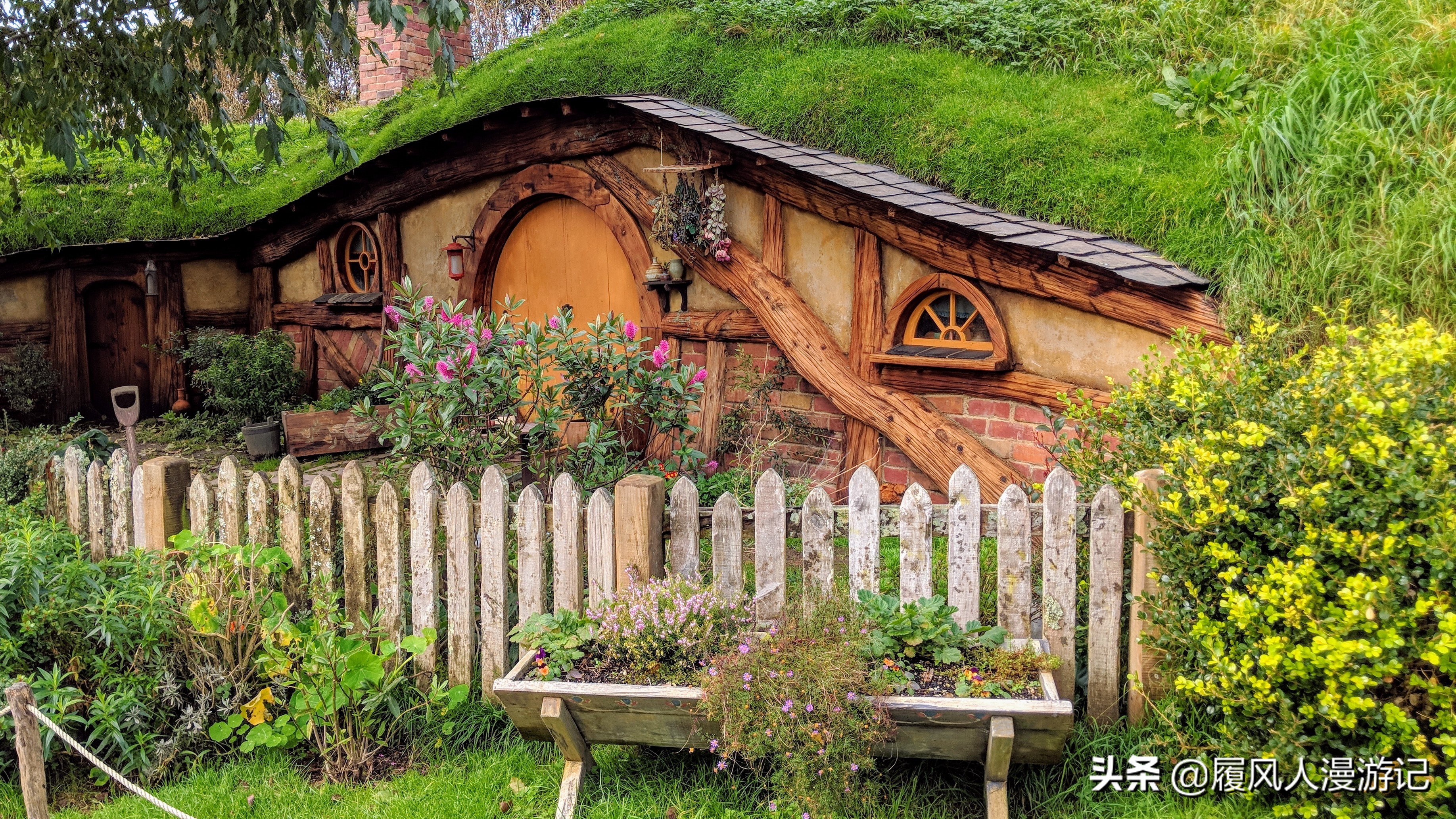 新西兰取景大主宰,电视剧大主宰取景