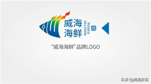 威海环海海鲜,走遍四海与威海