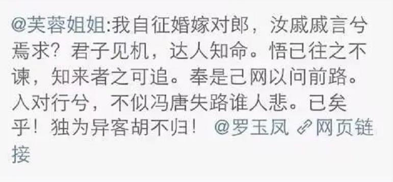 网红第一人罗玉凤,网红罗玉凤现象