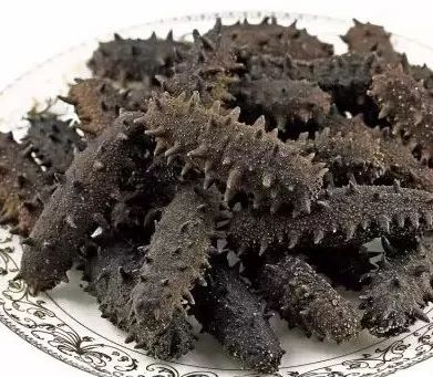 为什么海参是补品,为什么海参吃起来很腥