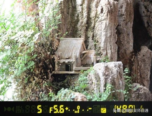 新手小白如何上手相机的各项功能,相机的各个功能介绍