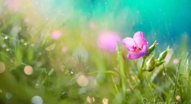 一个女公务员的感悟,如何做一名合格的基层女干部