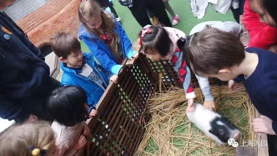 探园|上海寸土寸金地段的双语幼儿园！有托班，要提前1年排队！