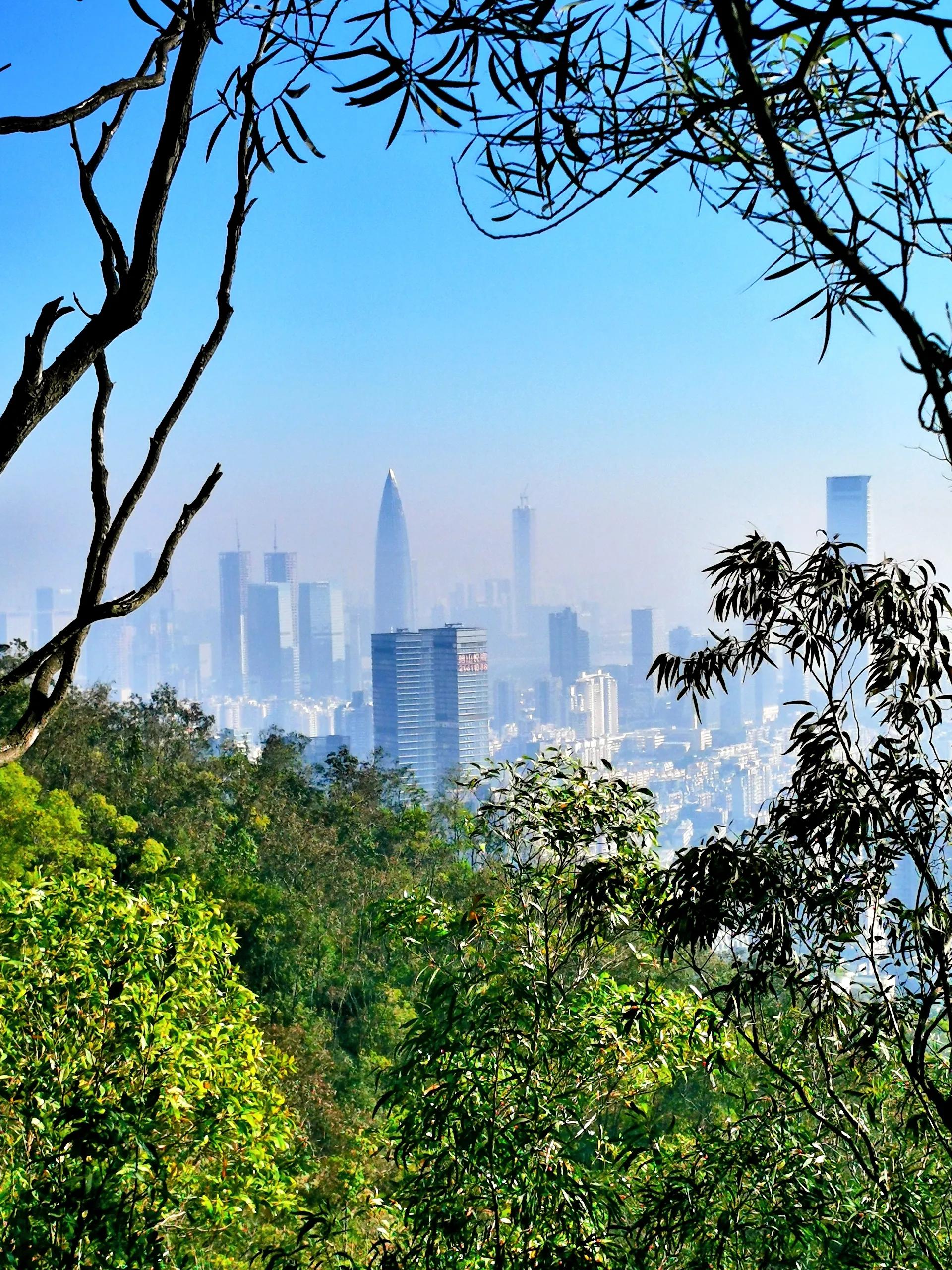 深圳公园山,远看深圳市南山公园