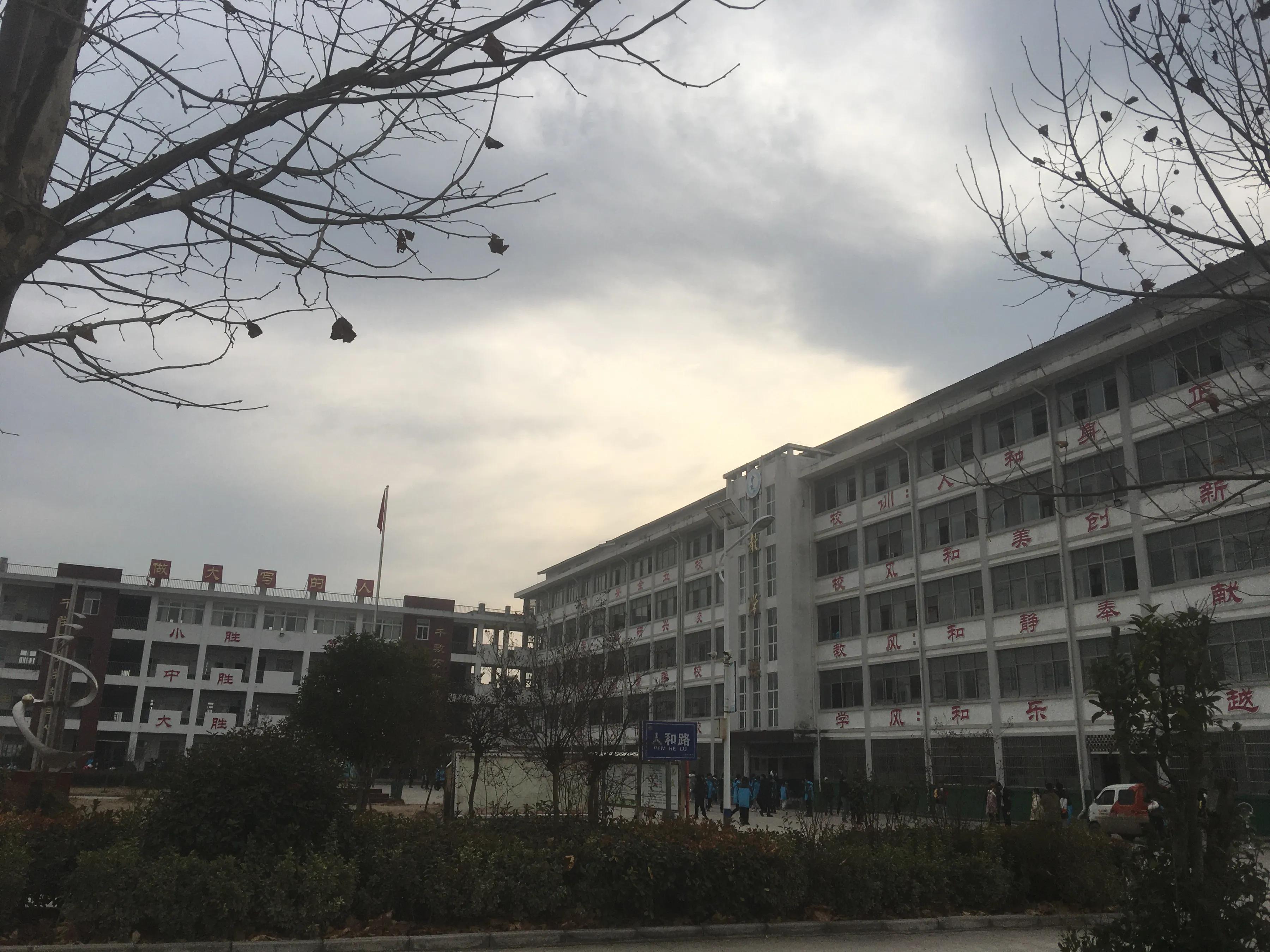 全镇小学语文优质课比赛方案,中小学语文三年级教研优质课