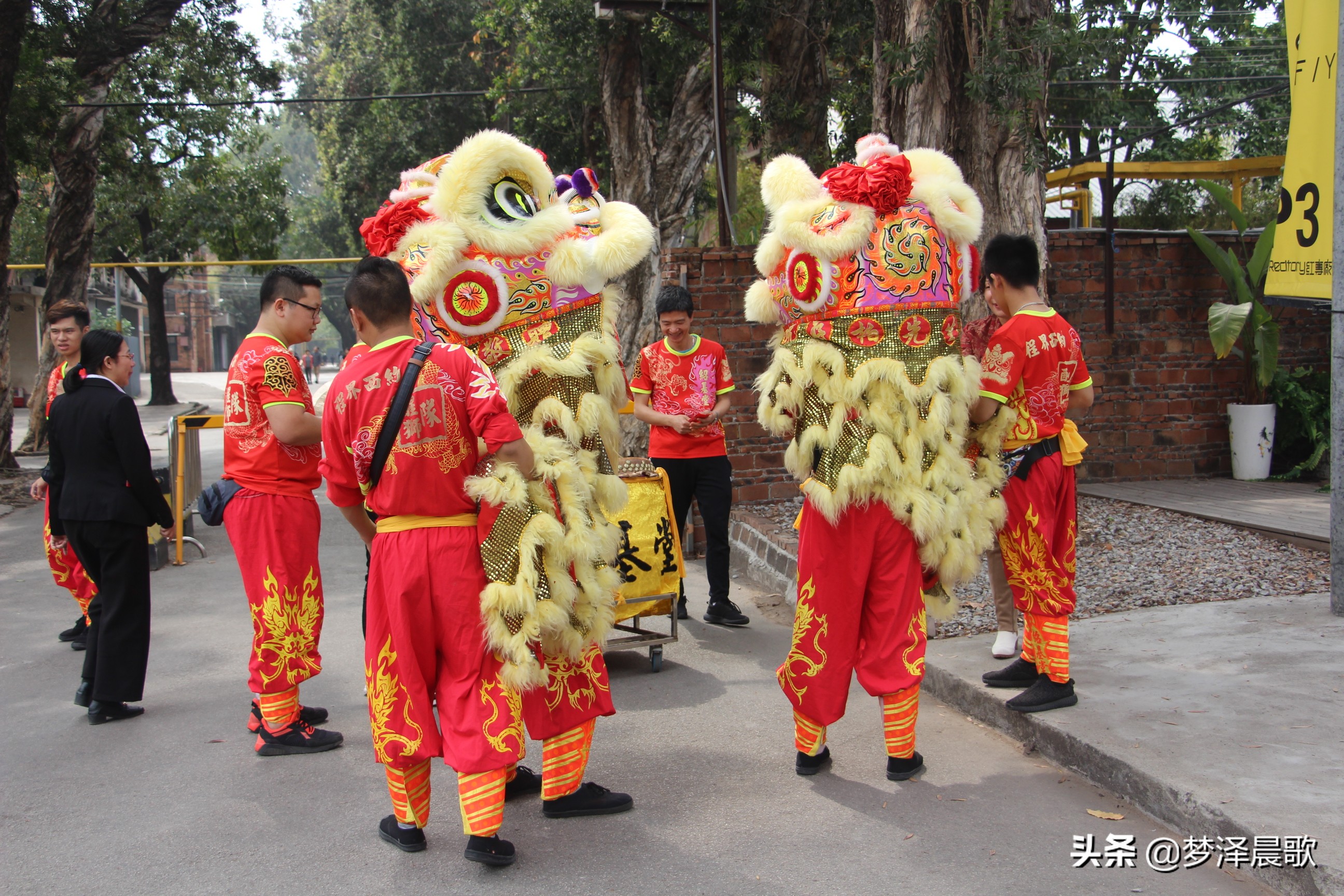 猪年喜庆舞蹈,猪年大吉喜气洋洋广场舞
