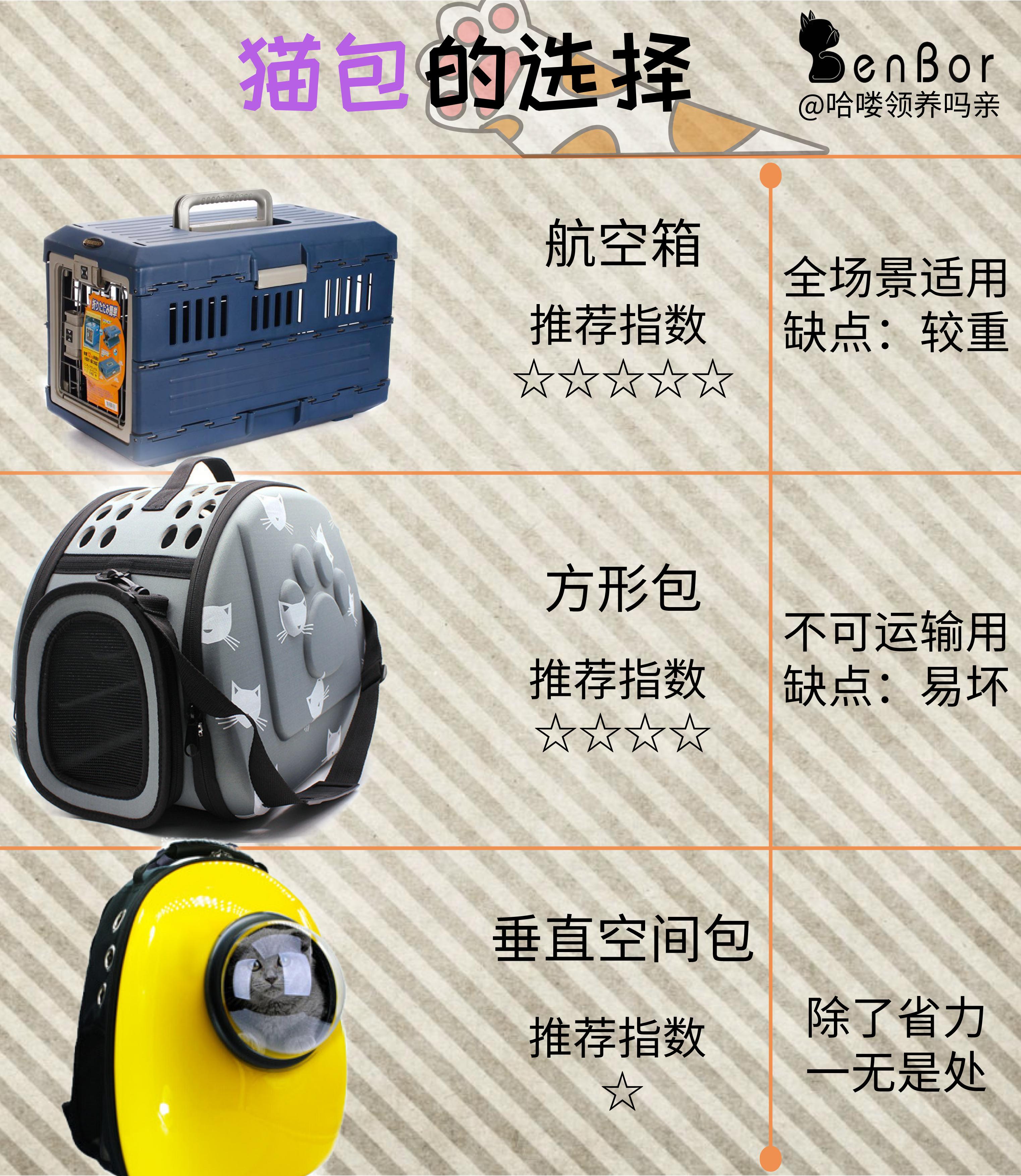 猫咪进猫包训练,如何训练猫咪进猫包