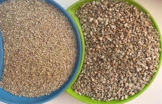 花盆里有白色小虫子还不怕水,花盆里有小虫子