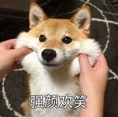 各种干扰不想学习？几种方法让你高度自律、高效学习！