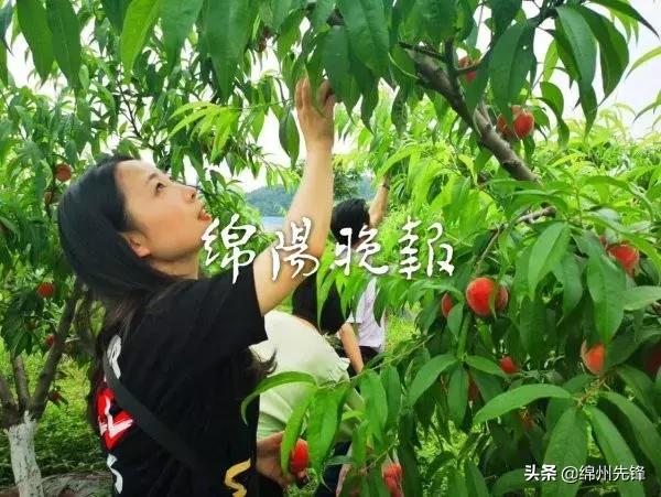 绵阳市放假通知最新,绵阳降温时间