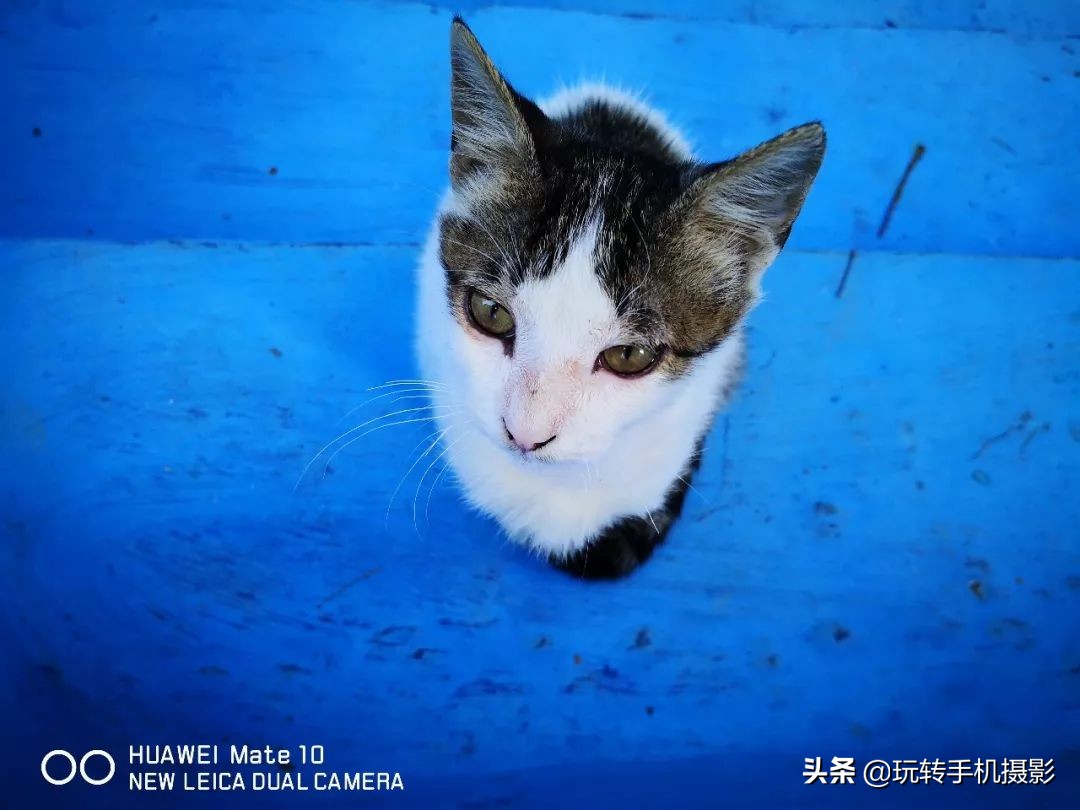 华为手机摄影课程,最全的华为手机摄影教程下载免费