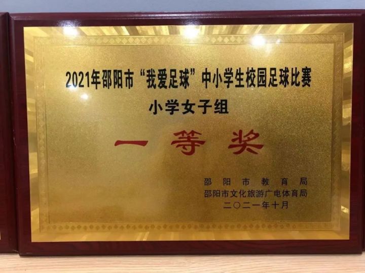 湘郡铭志学校足球联赛,邵阳市湘郡铭志足球